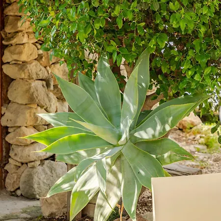 Masseria Usamborgia Country house *
