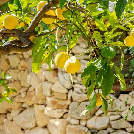 Country house Masseria Usamborgia