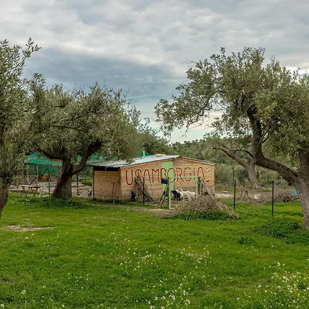 Masseria Usamborgia Country house *