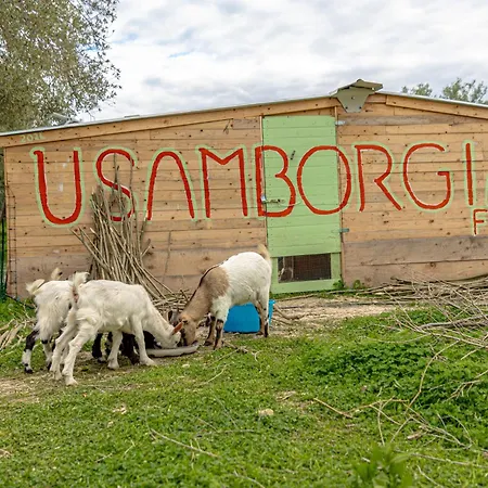 Masseria Usamborgia Country house *