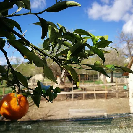 Landhuis Masseria Usamborgia