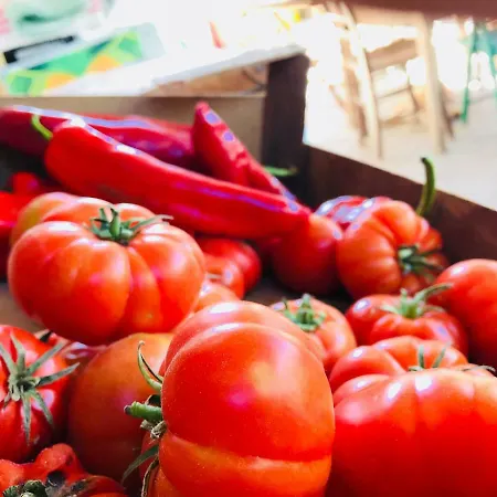 Landhuis Masseria Usamborgia *