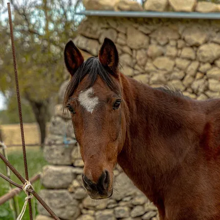 Masseria Usamborgia
