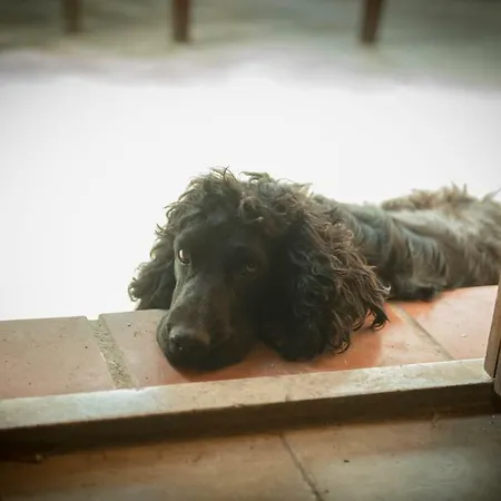 منزل ريفي Masseria Usamborgia *