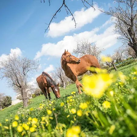 Masseria Usamborgia * نوتو