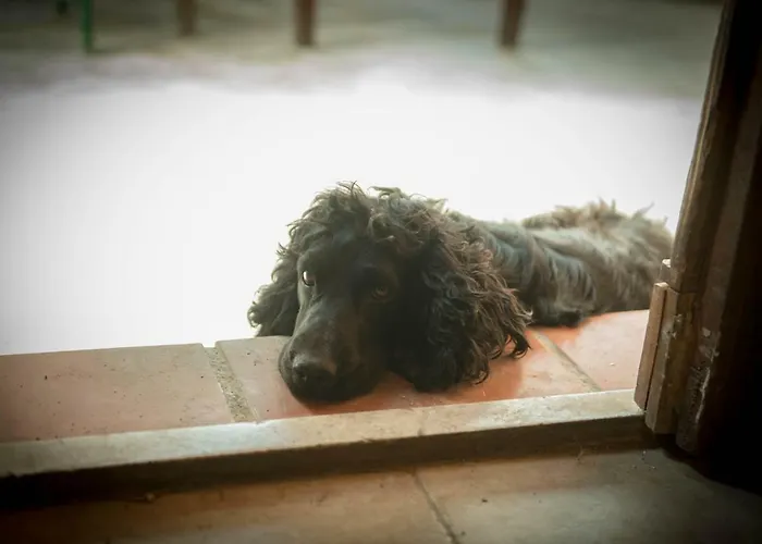 Εξοχικό σπίτι Masseria Usamborgia *