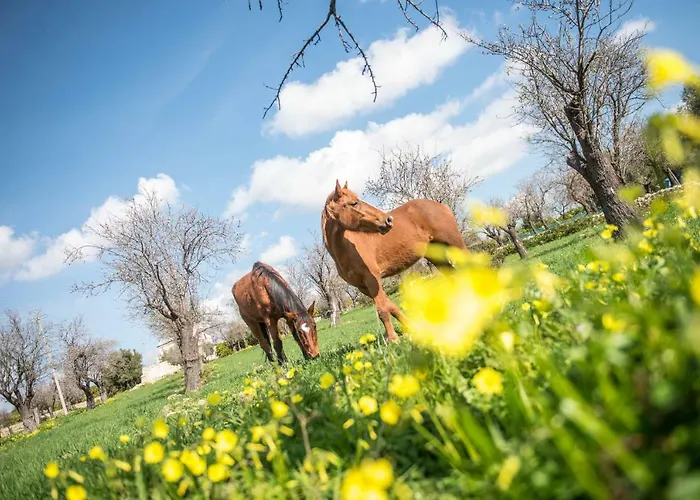 Masseria Usamborgia * Νότο